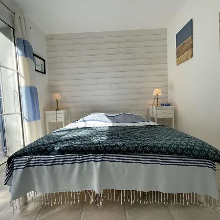 6 Pieces Avec Jardin Clos, Animaux Admis, Wi-fi Gratuit Et Proche - - Fr-1-246a-207 * Saint-Georges-d'Oleron